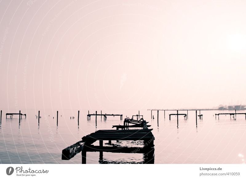 Rügen im Nebel Umwelt Natur Landschaft Wasser Himmel Wolkenloser Himmel Sonne Sonnenaufgang Sonnenuntergang Sonnenlicht Herbst Schönes Wetter Seeufer Holz