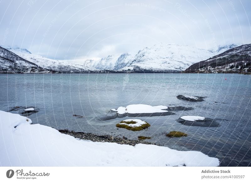 Ruhiger See vor schneebedeckten Hügeln bei kaltem, bedecktem Wetter Fjord Winter Ufer Wasser Norwegen ersfjordbotn Hochland Windstille verschneite Strand