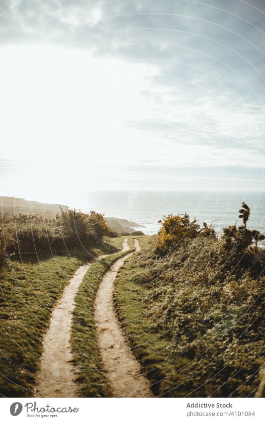 Rutstraße zum Meer bei Sonnenschein Straße Seeküste ländlich Spurrinne Schmutz leer MEER Natur Küste Feld grün Frühling hell Hügel Land Horizont Sonnenlicht