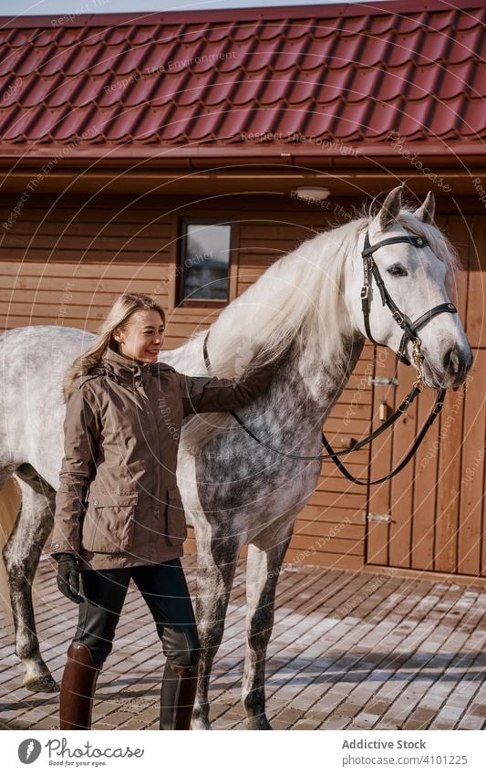 Warm gekleidete Frau mit grauem Pferd draußen Haustier Hengst Tier Pflege Natur Säugetier Stroh Bauernhof Sattel Pferderücken Weide Pferdestall Feld Zuneigung