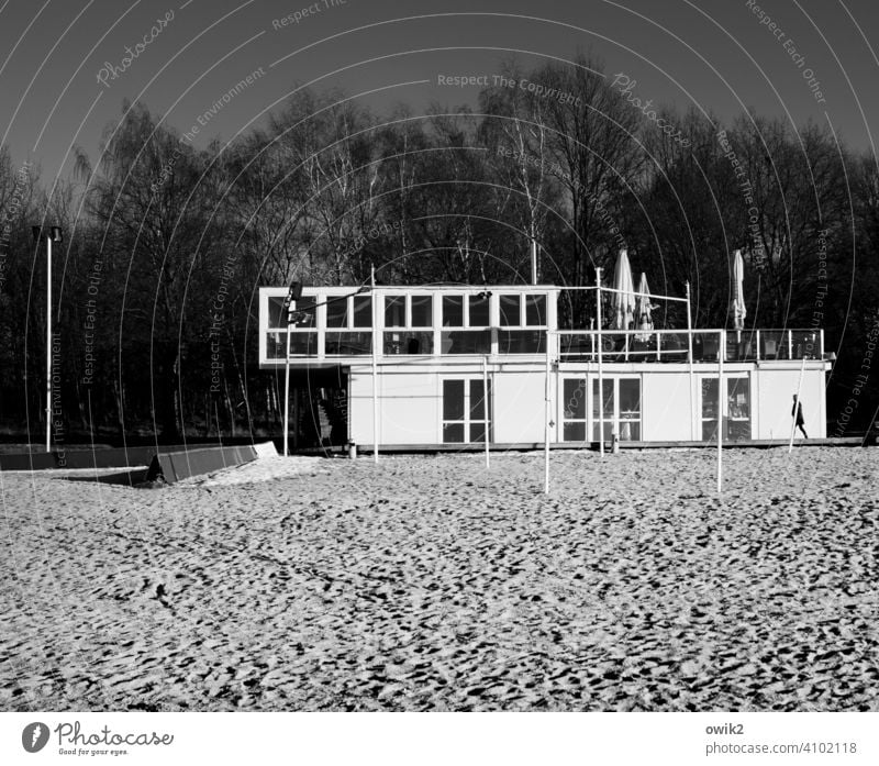 Basis und Überbau Strand Strandbar Küste Seeufer Bau Gebäude seltsam modern eckig verschoben Sand Bäume Himmel wolkenloser Himmel Kontrast Sonnenlicht