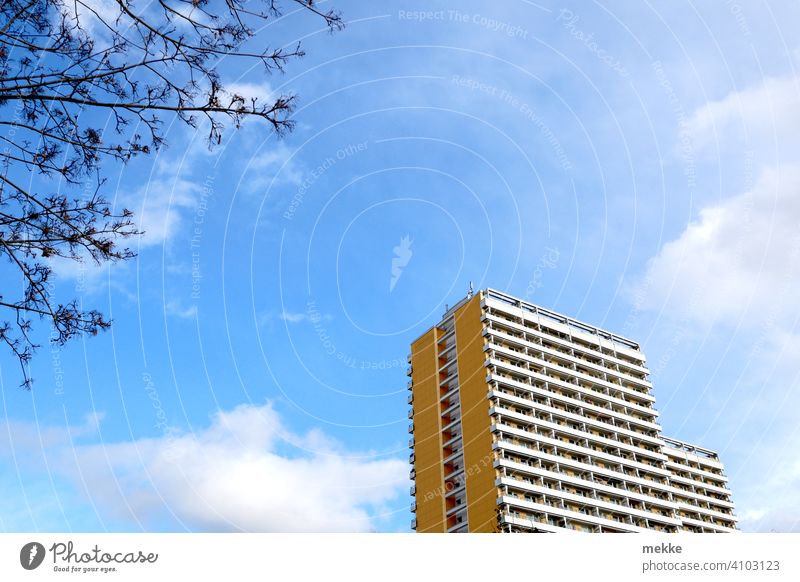 Wohnblock im frühlingshaften Sonnenschein Hochhaus Himmel Wolken Frühling Baum Fassade Architektur Bauwerk Stadt hoch Froschperspektive Gebäude urbantrist