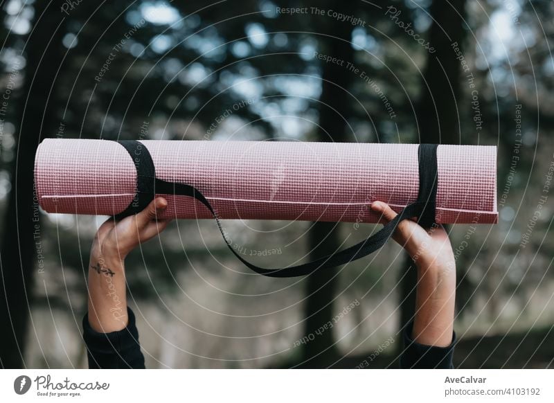 Zwei Hände greifen eine Yogamatte in der Luft auf den Wald entspannenden Konzept Stock Kunstturnen im Innenbereich Laptop Meditation online Pilates Seminar