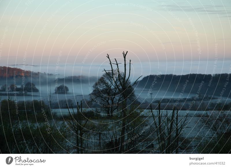 Morgennebel Nebel Baum Berge u. Gebirge Himmel Tal Landschaft