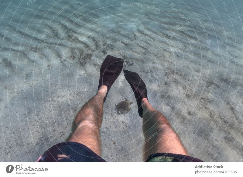 Freitaucher schwimmt mit Schildkröte unter Wasser im Meer Taucher MEER Tier Tierwelt Ökosystem Leben tief Tourismus Schwimmsport blau Aktivität marin tropisch