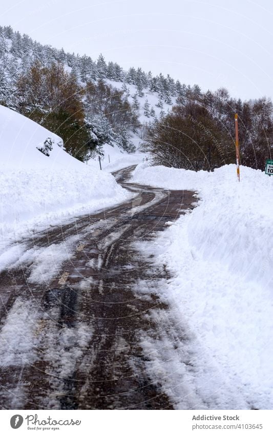 Mit Schnee und Eis bedeckter Kiefernwald in einer nebligen Landschaft in den Bergen Nordspaniens Schneefall Berge u. Gebirge Nebel Winter weiß Norden Pinienwald