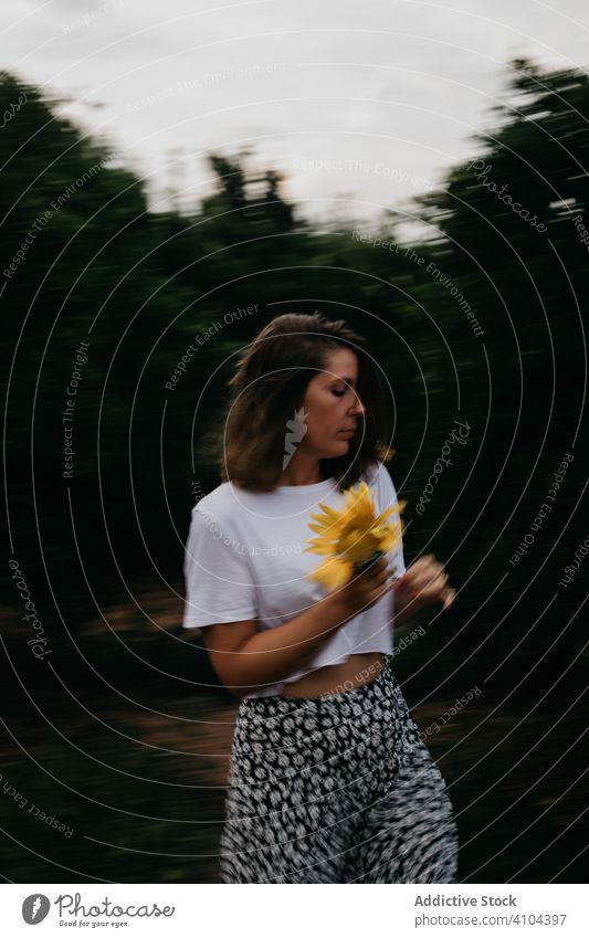 Sorglos ruhende Dame im grünen Wald Frau Wälder Grundstücke Sommer grau wolkig Himmel Flora Natur Licht Blume Stehen Urlaub sorgenfrei Freiheit aussruhen