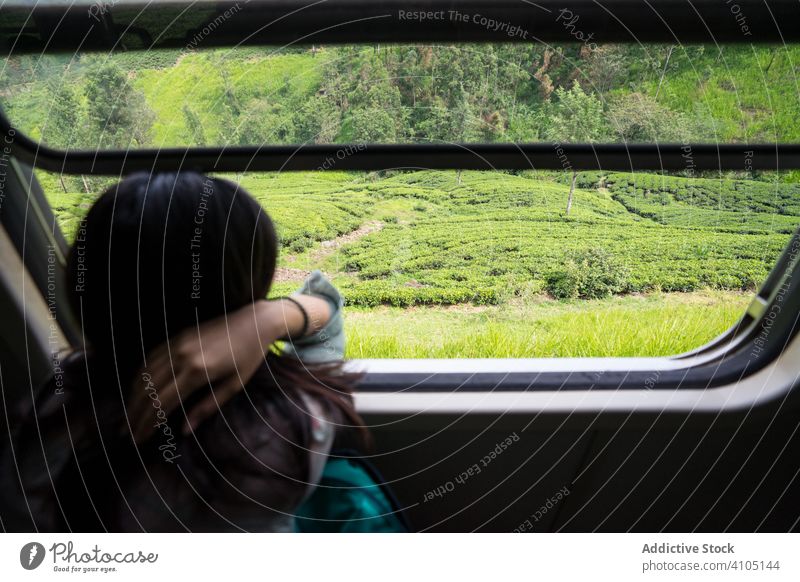 Ruhende asiatische Frau im Zug entlang grüner Pflanzen reisen Tourismus Lächeln genießen Lachen Natur Fenster Eisenbahn Transport Reise Ausflug Sri Lanka Urlaub