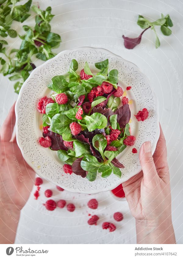 Person hält Teller mit Himbeer-Spinat-Salat Himbeeren Salatbeilage Koch frisch Beeren organisch süß lecker geschmackvoll natürlich grün Vegetarier Gesundheit