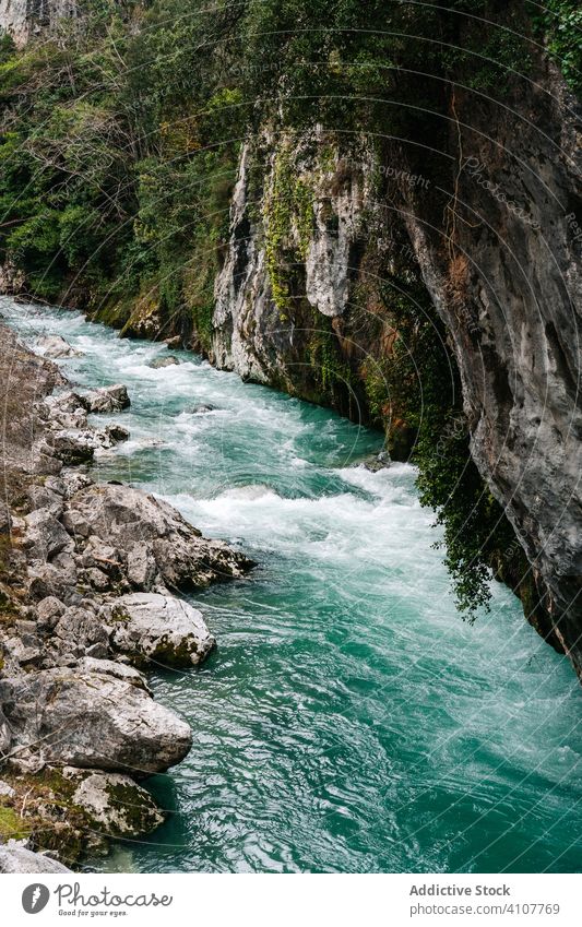 Wasserstrom, der bei hellem Tag zwischen felsigen Gipfeln fließt strömen fließend Berge u. Gebirge Fluss Natur malerisch Landschaft Wildnis Abenteuer Hügel