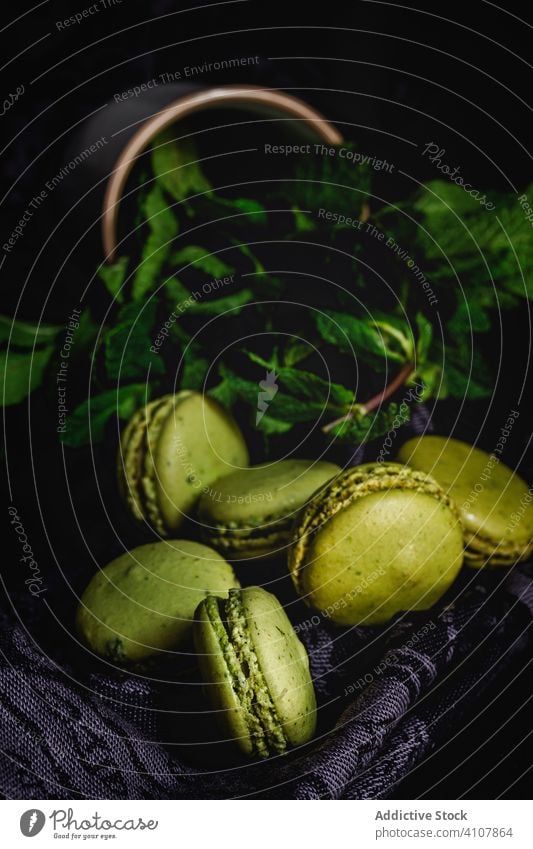 Hausgemachte grüne Macarons grün mit Minze Französisch Lebensmittel Makronen süß Farbe Snack lecker Dessert farbenfroh Bäckerei geschmackvoll Feinschmecker Keks