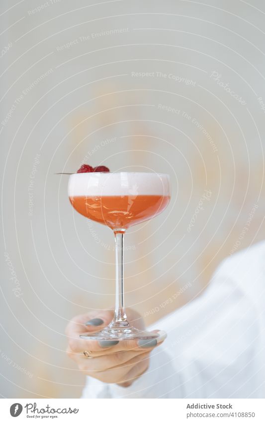 Unbekannter Kellner mit Clover-Club-Cocktail im Restaurant Alkohol trinken Getränk Klee-Club Himbeeren rot schäumen Glas süß sich[Akk] entspannen Feinschmecker