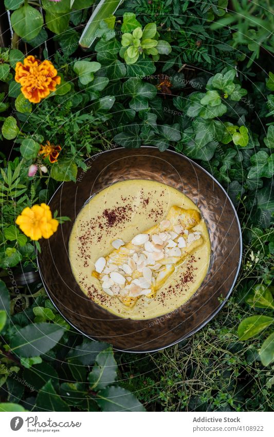 Leckeres Hähnchen in Sahnesauce in der Schüssel Saucen Schalen & Schüsseln Pilz kitschig Pflanze geschmackvoll Lebensmittel frisch lecker Fleisch Speise