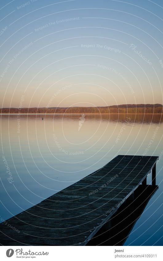 Blaue Lagune | Holzsteg führt in den idyllischen See Steg Abenddämmerung blau Stimmung Sonnenlicht Licht Ruhe Landschaft Wasser Reflexion & Spiegelung Natur