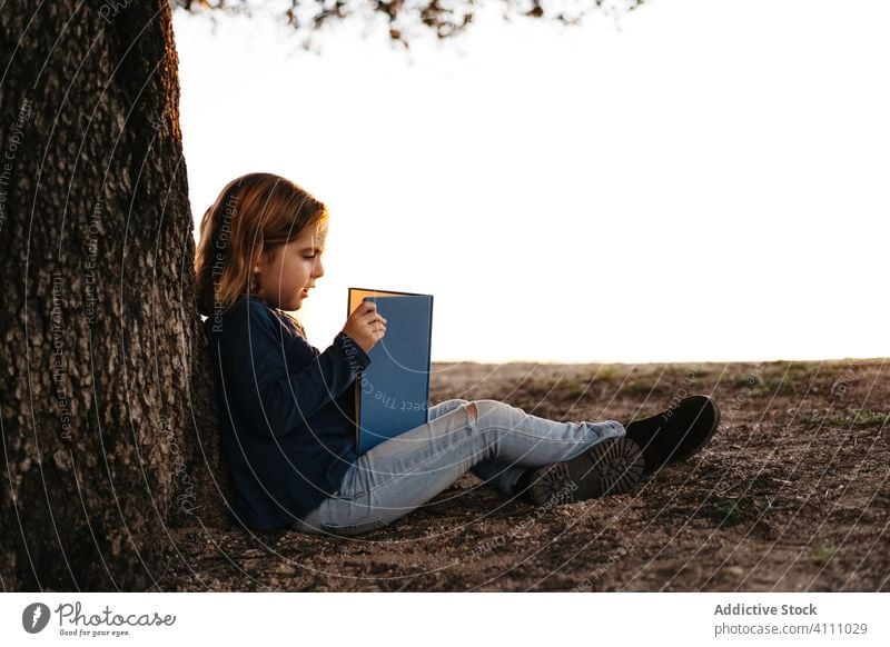 Kleines Mädchen mit Buch unter einem Baum sitzend Kind lesen Natur Feld Kofferraum Sommer lässig Windstille ruhig ernst Konzentration Frau lernen Wiese