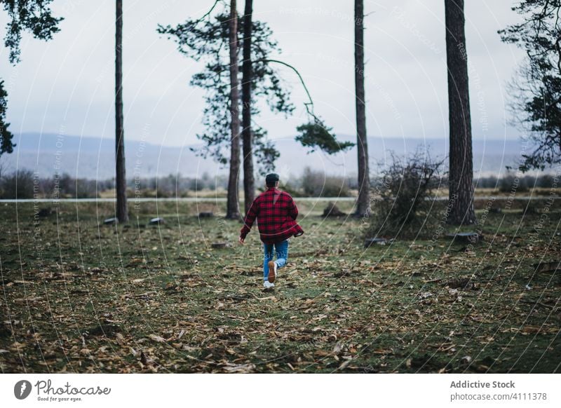 Anonymer Mann im friedlichen grünen Wald Baum Natur Kofferraum Landschaft Umwelt reisen Lifestyle Tourismus Aktivität schön Wälder Freiheit ruhig wild Saison