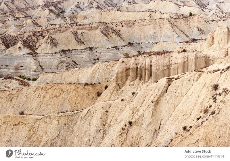 Grasbewachsenes bergiges Gelände an einem sonnigen Tag Berge u. Gebirge trocknen rau tagsüber algeciras Spanien murcia Landschaft Natur Felsen Buchse Pflanze