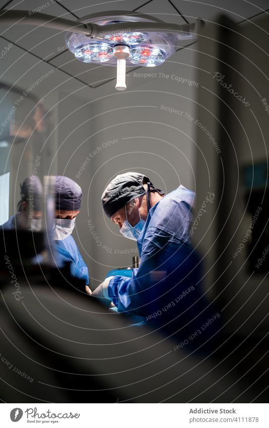 Tierärztliches Personal während einer Operation in einer modernen Klinik Chirurg Veterinär Chirurgie Krankenhaus Sanitäter Arzt Behandlung Krankenpfleger Arbeit