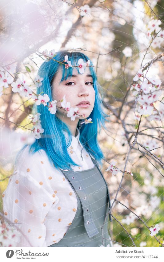 Trendige Frau im blühenden Garten Frühling Blütezeit Teenager alternativ gefärbtes Haar Blume Stil trendy modern jung blaue Haare Baum Natur geblümt schön