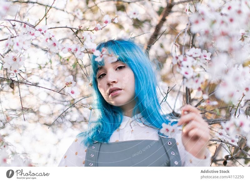 Trendige Frau im blühenden Garten Frühling Blütezeit Teenager alternativ gefärbtes Haar Blume Stil trendy modern jung blaue Haare Baum Natur geblümt schön