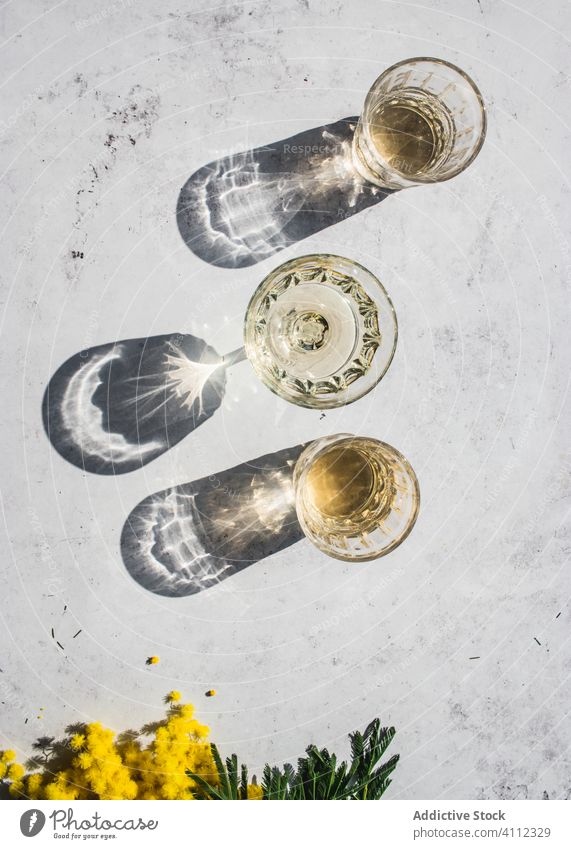 Gläserset mit Getränken im Sonnenlicht mit Schatten Glas trinken Licht durchsichtig Alkohol verschiedene liquide Zusammensetzung Form Reflexion & Spiegelung