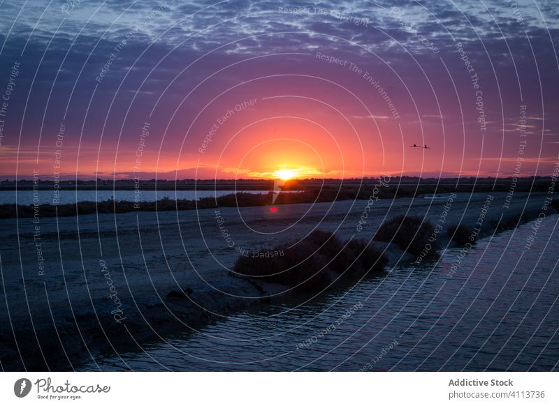 Malerische Landschaft mit Sonnenuntergang über Feuchtgebieten Himmel Wasser Abend ruhig farbenfroh Natur malerisch Umwelt wild Abenddämmerung friedlich