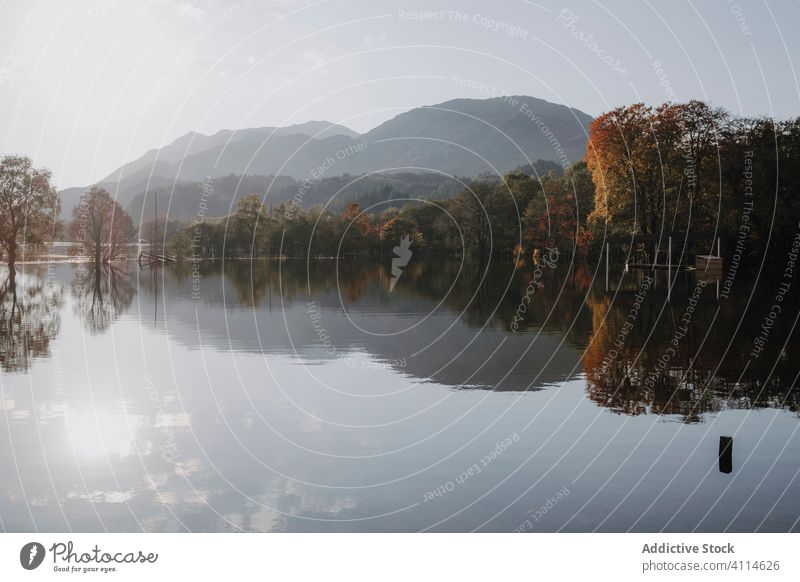 Ruhiger See, in dem sich felsige Berge spiegeln Berge u. Gebirge Reflexion & Spiegelung sonnig Landschaft Felsen Hochland Cloud Baum Windstille ruhig Wasser