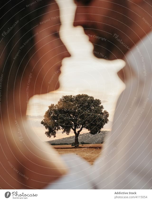 Baum hinter dem Paar am Abend Liebe Termin & Datum Sonnenuntergang Umarmung Sommer Landschaft Himmel Zusammensein Partnerschaft Mann Frau Natur romantisch