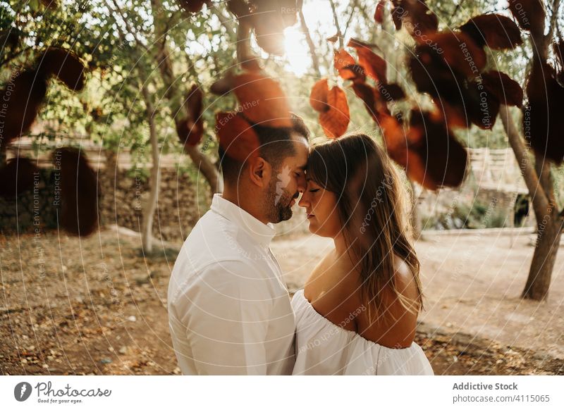 liebendes Paar, das sich unter einem Baum umarmt Liebe Termin & Datum Glück Zusammensein Partnerschaft heiter Mann Frau Zuneigung Lifestyle Freude romantisch