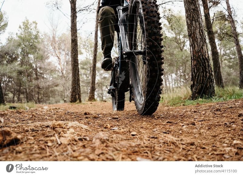 Radfahrer auf felsigem Waldweg Mann Fahrrad Mitfahrgelegenheit Weg Felsen Baum reisen Schutzhelm männlich Ausflug Reise Aktivität Erholung Route Fahrzeug