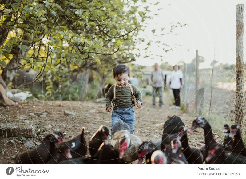 Kind spielt mit Enten Kaukasier 1-3 Jahre Bauernhof Nutztier Entenvögel Natur authentisch Neugier Tierliebe niedlich Farbfoto Kindheit Spaß haben Glück