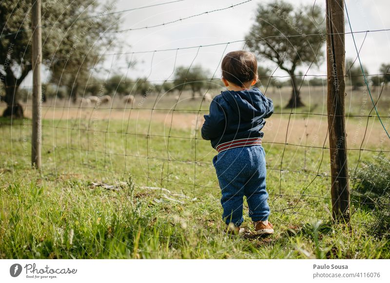 Rückansicht Kind schaut auf Schafe 1-3 Jahre Kaukasier Neugier ländlich Ländliche Szene Freude Natur Kleinkind Außenaufnahme Mensch Farbfoto Kindheit Tierliebe