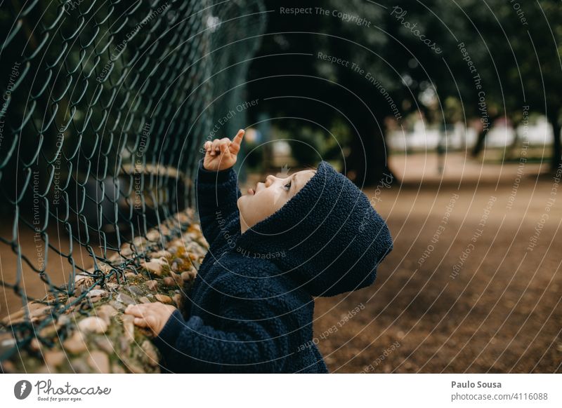 Kind schaut auf und zeigt nach oben 1-3 Jahre Tag Spielen Punkt Blick Junge Außenaufnahme Fröhlichkeit Mensch Farbfoto Kindheit Kleinkind Freude entdecken