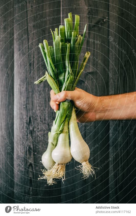 Person mit einem Bündel frischer Schalotten Frühlingszwiebel Gesundheit grün Diät zeigen Wand Blatt hölzern organisch Vegetarier Vitamin Nutzholz schwarz Holz