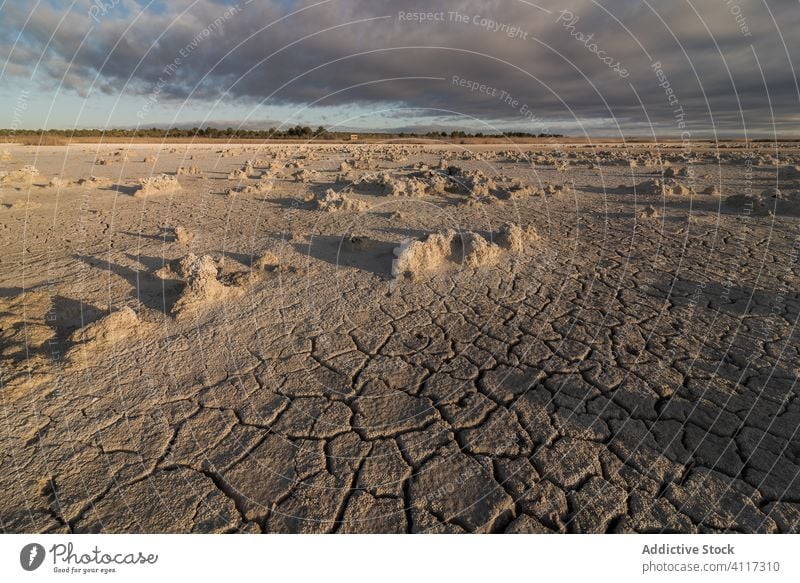 Trockener, rissiger Boden und Felsen unter bewölktem Himmel Dürre trocknen Natur wüst Land Riss Sonnenuntergang heiß Ökologie Hintergrund Textur Gelände