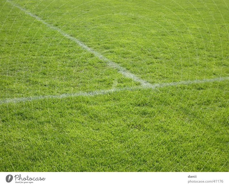 Fußballrasen Fußballplatz Spielfeld grün Rasen Sport Trainingsplatz