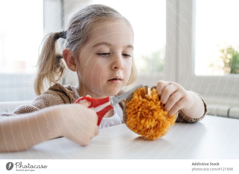 Konzentriertes kleines Mädchen bei der Herstellung eines handgefertigten Pompons in der Morgenküche Pompom Kind kreativ Garn farbenfroh Faser geschnitten Schere