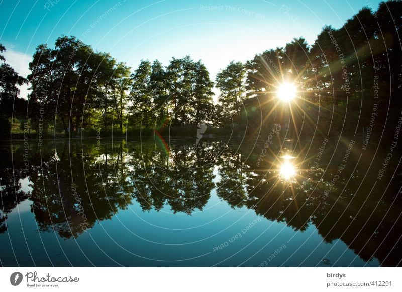 Abends am See Natur Wolkenloser Himmel Sonne Sonnenaufgang Sonnenuntergang Sonnenlicht Sommer Schönes Wetter Baum Laubbaum Seeufer leuchten ästhetisch