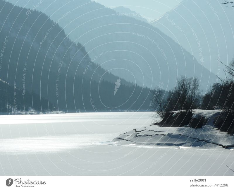 still und starr ruht der See... Natur Landschaft Winter Eis Frost Schnee Baum Seeufer Achensee glänzend kalt Einsamkeit stagnierend Überleben schneebruch ruhen