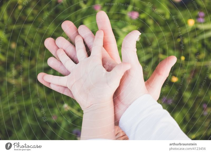 Junge Familie hält Hände zusammen über einer Blumenwiese jung hände Junger Mann Junge Frau Kind Kindheit Zusammensein Zusammenhalt zusammengehörig