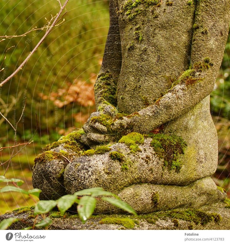 Still und andächtig kniet die Statue auf dem Friedhof und wacht über die Seelen der Verstorbenen Stein beten Religion & Glaube Gebet Spiritualität Hoffnung