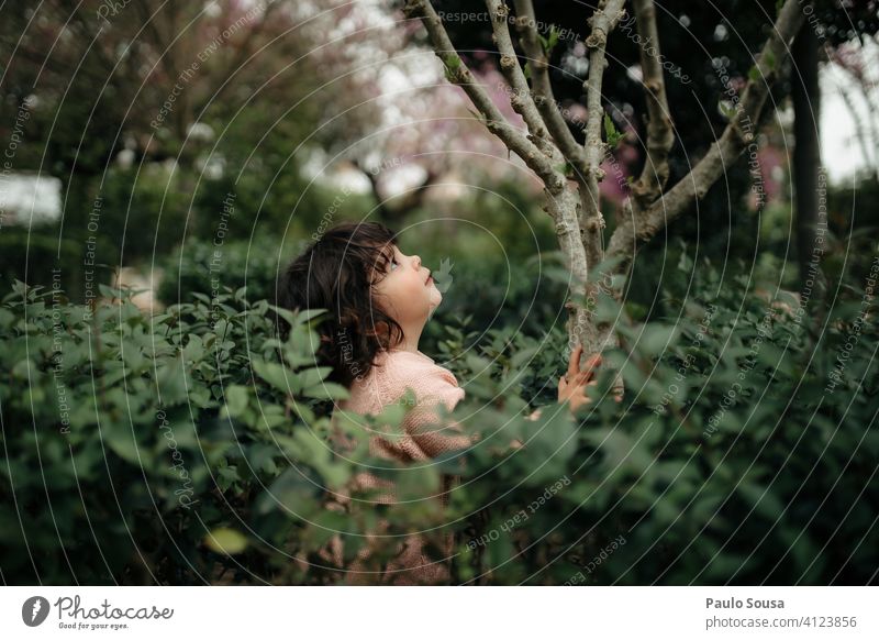 Nettes Mädchen schaut auf kleinen Baum Kind 1-3 Jahre Kaukasier niedlich Natur natürlich Blick Park Fröhlichkeit Glück Lifestyle Tag Freude Mensch Außenaufnahme