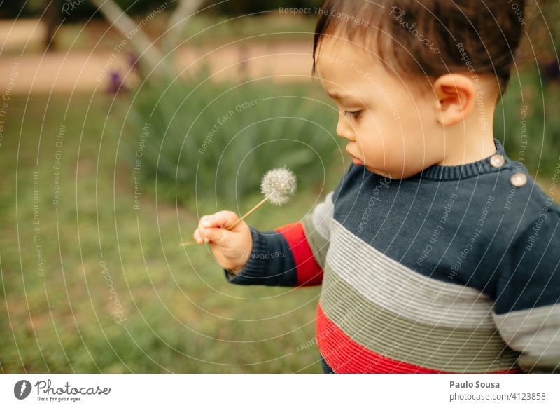 Nettes Kind schaut auf Löwenzahn Kaukasier 1-3 Jahre Natur natürlich Frühling Glück Kleinkind Farbfoto Außenaufnahme Kindheit Mensch Tag Fröhlichkeit Freude