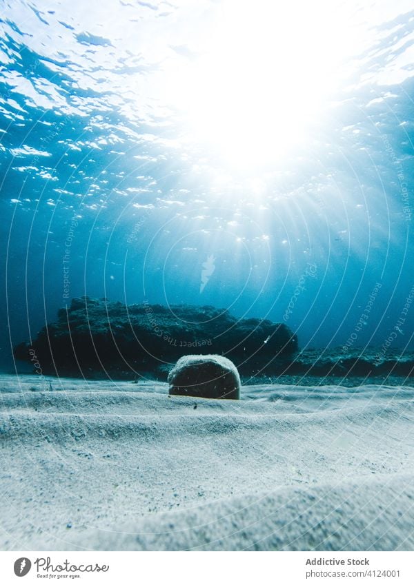 Steine auf sandigem Meeresgrund Gesäß MEER Sand Sonnenlicht Sauberkeit Wasser blau Mallorca Spanien rau Rippeln Rochen Strahl Glanz unter Wasser tief