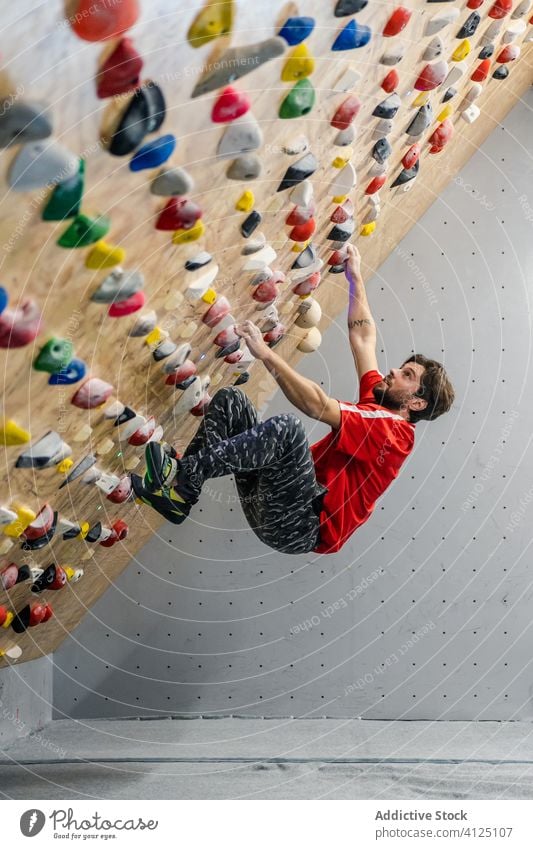 Mann übt Klettern an der Wand Aufstieg Sport Training Felsbrocken Hobby Gerät Fitnessstudio Aktivität Athlet extrem männlich Übung anstrengen Stärke aktiv