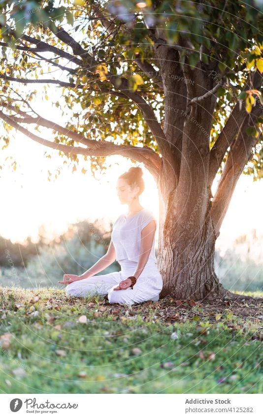 Konzentrierte junge Frau mit tibetischer Schale auf grüner Wiese Yoga tibetische Schale meditieren Klangschale Asana Windstille Zen Rasen Pose Sommer Knie Baum