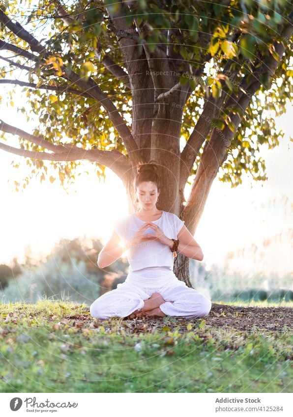 Konzentrierte junge Frau mit tibetischer Schale auf grüner Wiese Yoga tibetische Schale meditieren Klangschale Asana Windstille Zen Rasen Pose Sommer Knie Baum