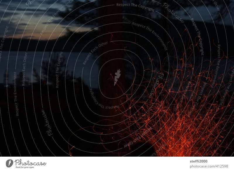 Funken fliegen Ferien & Urlaub & Reisen Abenteuer Ferne Freiheit Camping Fahrradtour Sommer Sommerurlaub Umwelt Natur Landschaft Pflanze Feuer Nachthimmel