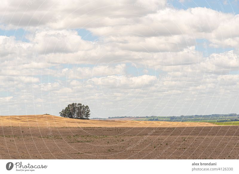 Landwirtschaftliche Felder im Pampa-Biom im Bundesstaat Rio Grande do Sul in Brasilien Ackerbau Hintergrund Bohne brasilien campo Campo de Soja Maisstroh