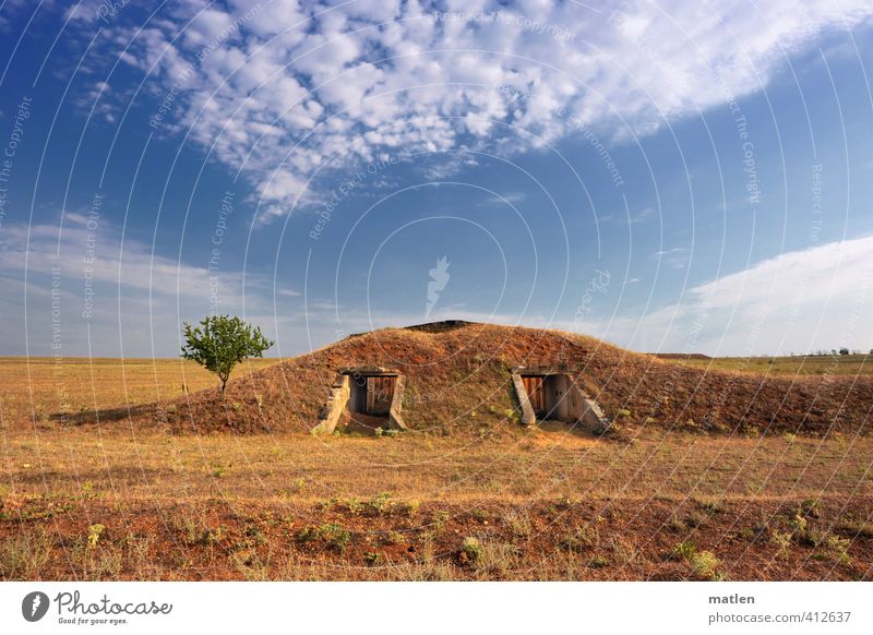 Unterstand Landschaft Pflanze Himmel Wolken Horizont Sonnenlicht Sommer Wetter Schönes Wetter Baum Gras Wiese Menschenleer Ruine Mauer Wand blau braun weiß